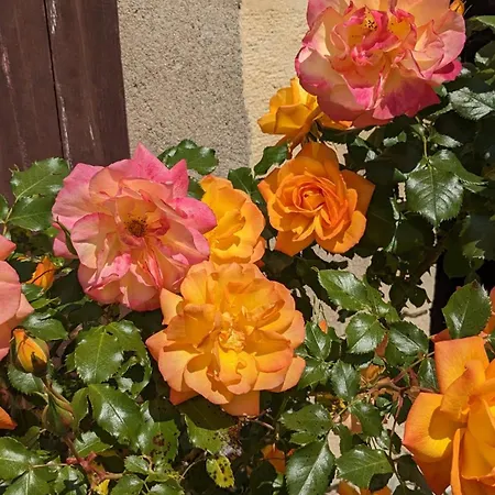 La Gargolette Maison d'hôtes